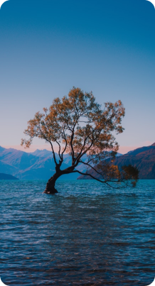 DSC Global vì cộng đồng