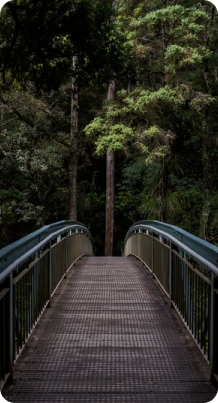 Khát vọng vươn xa